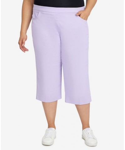 Plus Size Classic Allure Stretch Clamdigger Capri Pant Purple $27.50 Pants