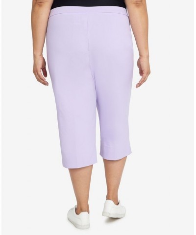 Plus Size Classic Allure Stretch Clamdigger Capri Pant Purple $27.50 Pants