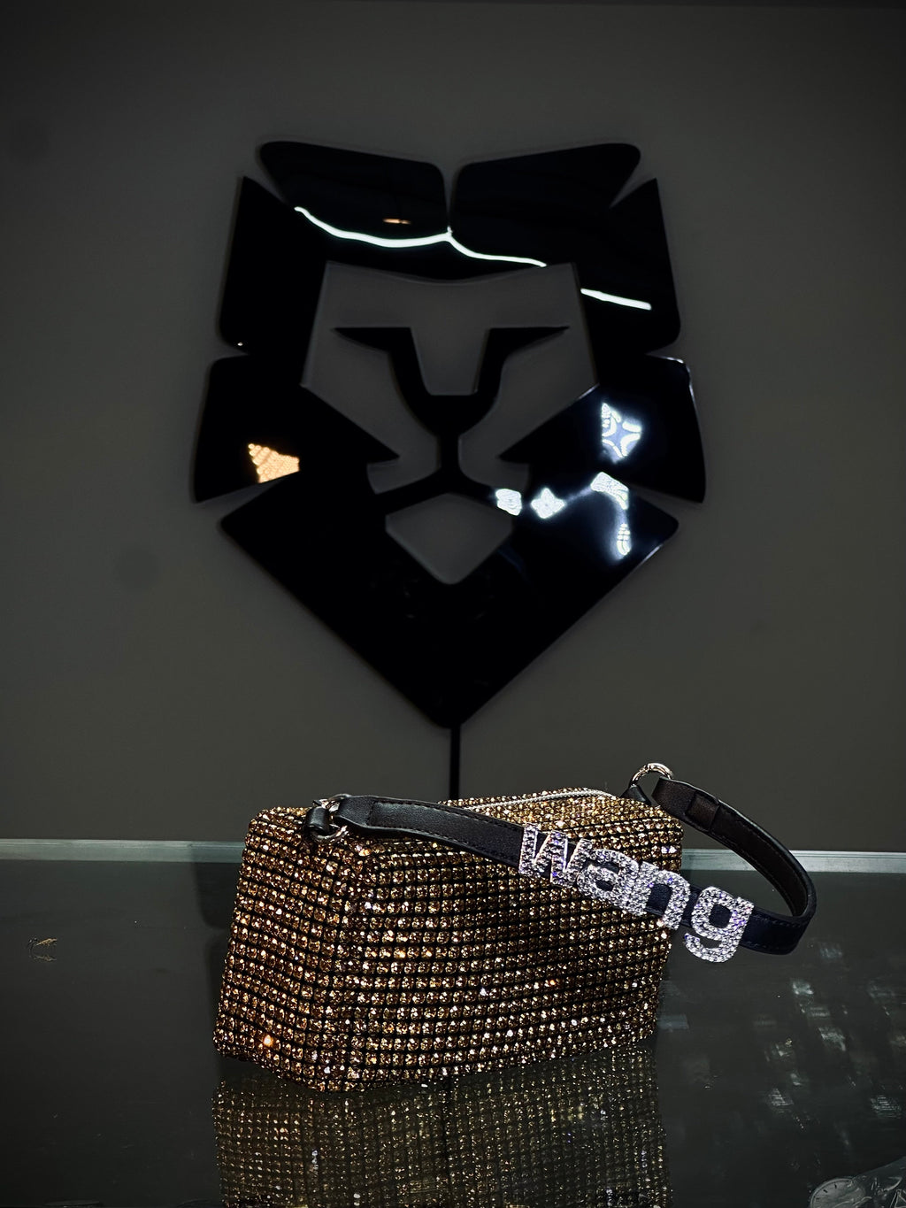 Alexander Wang Sparkle Box